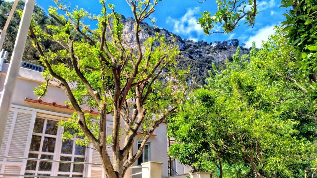 Don Raffae Hotel Capri Kültér fotó