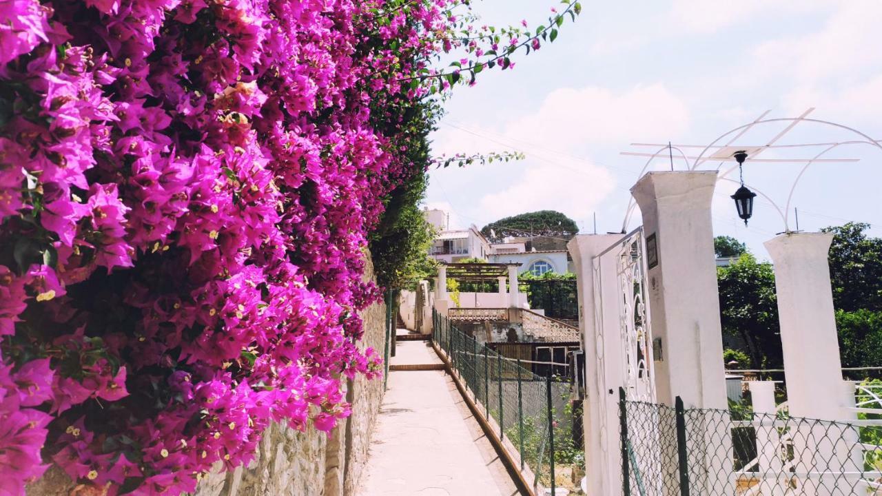 Don Raffae Hotel Capri Kültér fotó