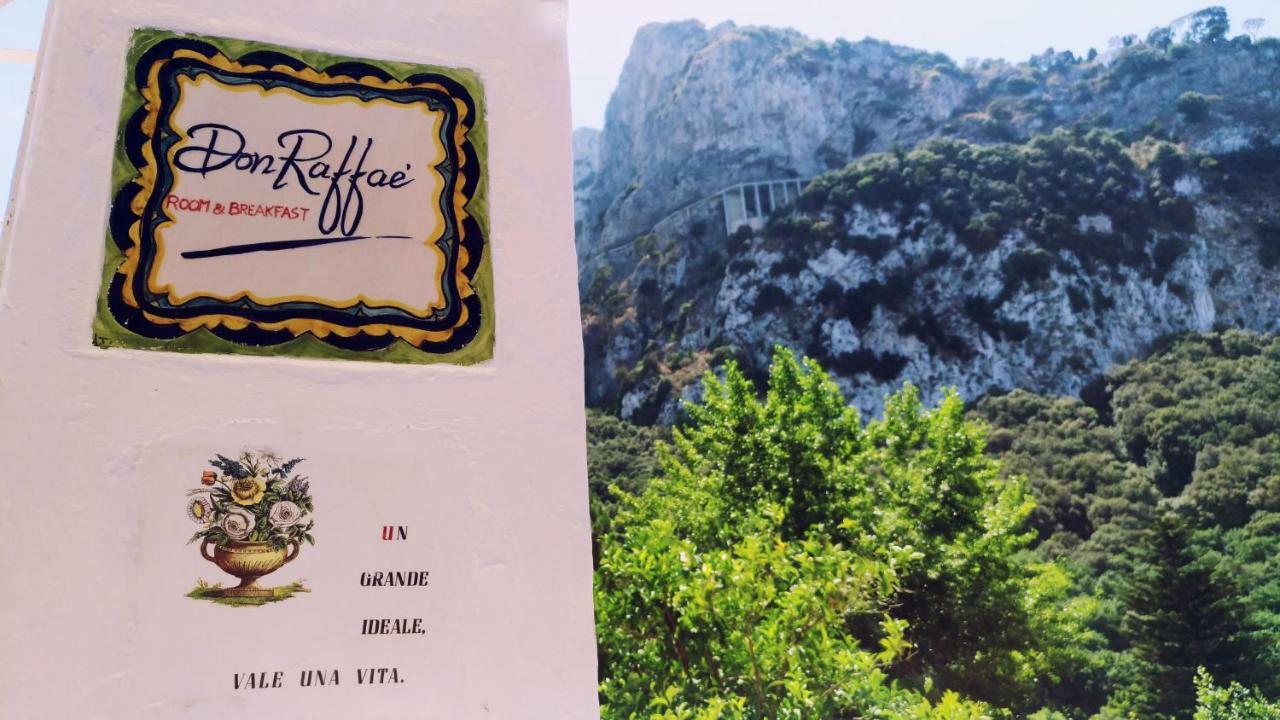 Don Raffae Hotel Capri Kültér fotó